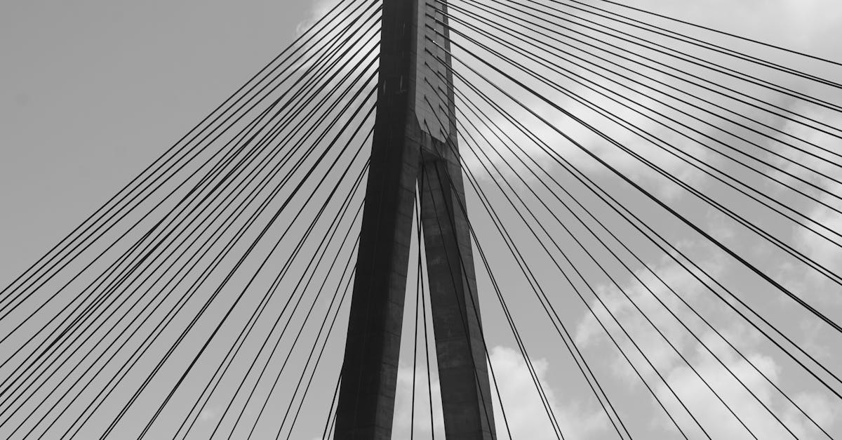 Understanding the Longevity of Ceramic Coating in Harsh Australian Conditions